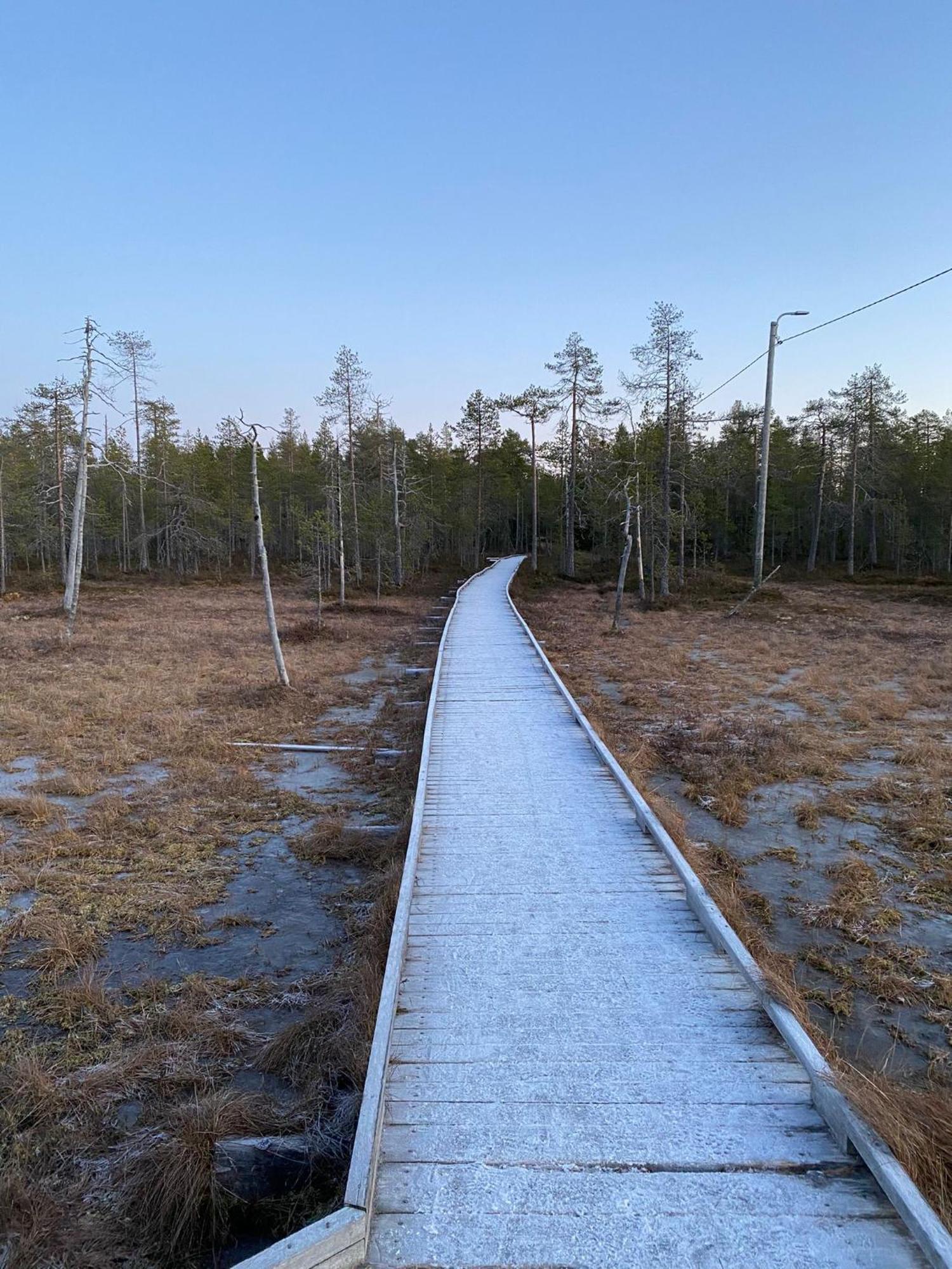 Taljatie Apartments Rovaniemi Eksteriør billede